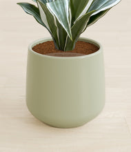 Load image into Gallery viewer, Turquoise stand:all
