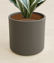 Load image into Gallery viewer, Dark Olive stand:all
