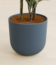 Load image into Gallery viewer, Iron Gray stand:all
