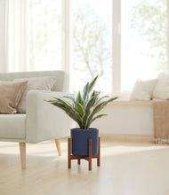 Load image into Gallery viewer, Deep Navy stand:walnut
