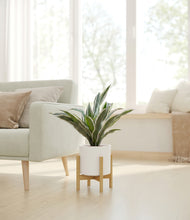 Load image into Gallery viewer, White stand:bamboo
