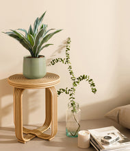Load image into Gallery viewer, Turquoise
