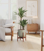 Load image into Gallery viewer, Sage Green stand:dark
