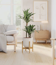 Load image into Gallery viewer, Natural Bamboo stand:light
