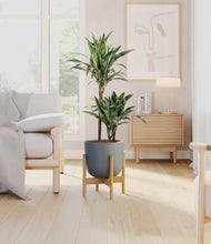 Load image into Gallery viewer, Iron Gray stand:light
