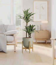 Load image into Gallery viewer, Sage Green stand:light
