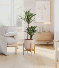 Load image into Gallery viewer, Sandy Pink stand:light
