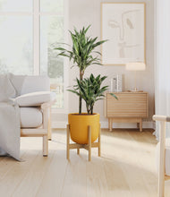 Load image into Gallery viewer, Sunset Orange stand:light
