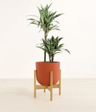 Load image into Gallery viewer, Earth Red stand:light
