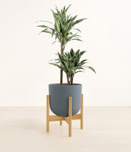 Load image into Gallery viewer, Iron Gray stand:light
