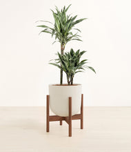 Load image into Gallery viewer, Natural Bamboo stand:dark

