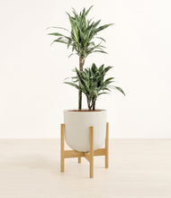 Load image into Gallery viewer, Natural Bamboo stand:light
