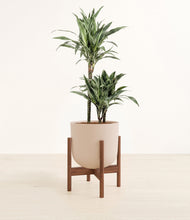 Load image into Gallery viewer, Sandy Pink stand:dark
