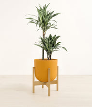 Load image into Gallery viewer, Sunset Orange stand:light
