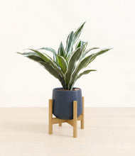 Load image into Gallery viewer, Deep Navy stand:bamboo
