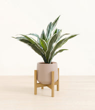 Load image into Gallery viewer, Eternal Gray stand:bamboo
