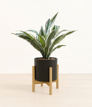 Load image into Gallery viewer, Black stand:bamboo
