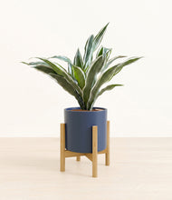 Load image into Gallery viewer, Deep Navy stand:bamboo
