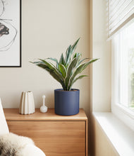 Load image into Gallery viewer, Deep Navy
