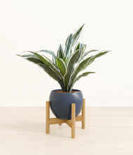 Load image into Gallery viewer, Deep Navy stand:bamboo
