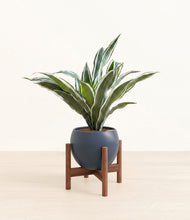 Load image into Gallery viewer, Deep Navy stand:walnut
