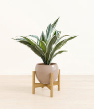 Load image into Gallery viewer, Desert Brown stand:bamboo
