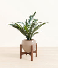 Load image into Gallery viewer, Desert Brown stand:walnut
