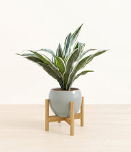 Load image into Gallery viewer, Deep Ocean stand:bamboo
