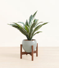 Load image into Gallery viewer, Deep Ocean stand:walnut
