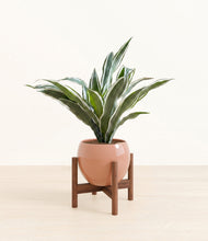 Load image into Gallery viewer, Calm Rose stand:walnut
