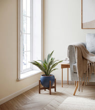 Load image into Gallery viewer, Deep Navy stand:walnut
