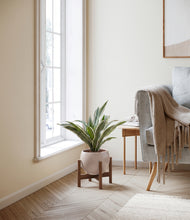 Load image into Gallery viewer, Desert Brown stand:walnut
