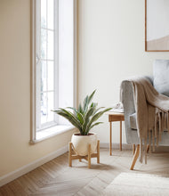 Load image into Gallery viewer, Shiny EggWhite stand:bamboo
