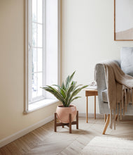 Load image into Gallery viewer, Calm Rose stand:walnut
