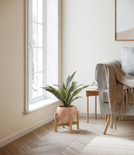 Load image into Gallery viewer, Calm Rose stand:bamboo
