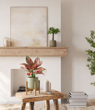 Load image into Gallery viewer, Woodland Hues stand:one_stand
