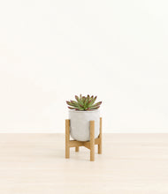 Load image into Gallery viewer, Hammered Ivory stand:bamboo
