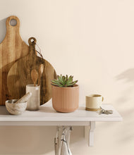 Load image into Gallery viewer, Striped Peach Pink
