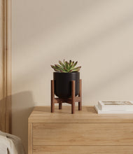 Load image into Gallery viewer, Stone Black stand:walnut
