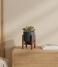 Load image into Gallery viewer, Iron Gray stand:walnut
