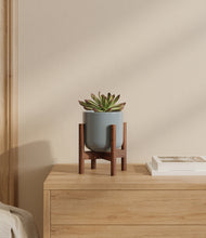 Load image into Gallery viewer, Misty Blue stand:walnut
