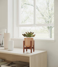 Load image into Gallery viewer, Striped Peach Pink stand:walnut
