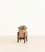 Load image into Gallery viewer, Striped Peach Pink stand:walnut
