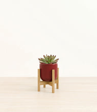 Load image into Gallery viewer, Striped Cherry Red stand:bamboo

