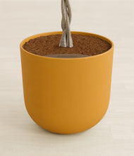 Load image into Gallery viewer, Sunset Orange stand:all
