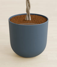 Load image into Gallery viewer, Iron Gray stand:all
