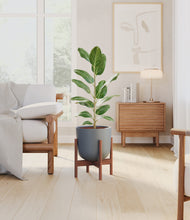 Load image into Gallery viewer, Iron Gray stand:walnut
