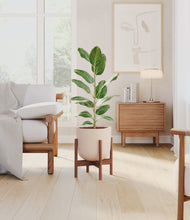 Load image into Gallery viewer, Sandy Pink stand:walnut
