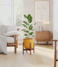 Load image into Gallery viewer, Sunset Orange stand:walnut

