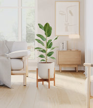 Load image into Gallery viewer, Natural Bamboo stand:bamboo
